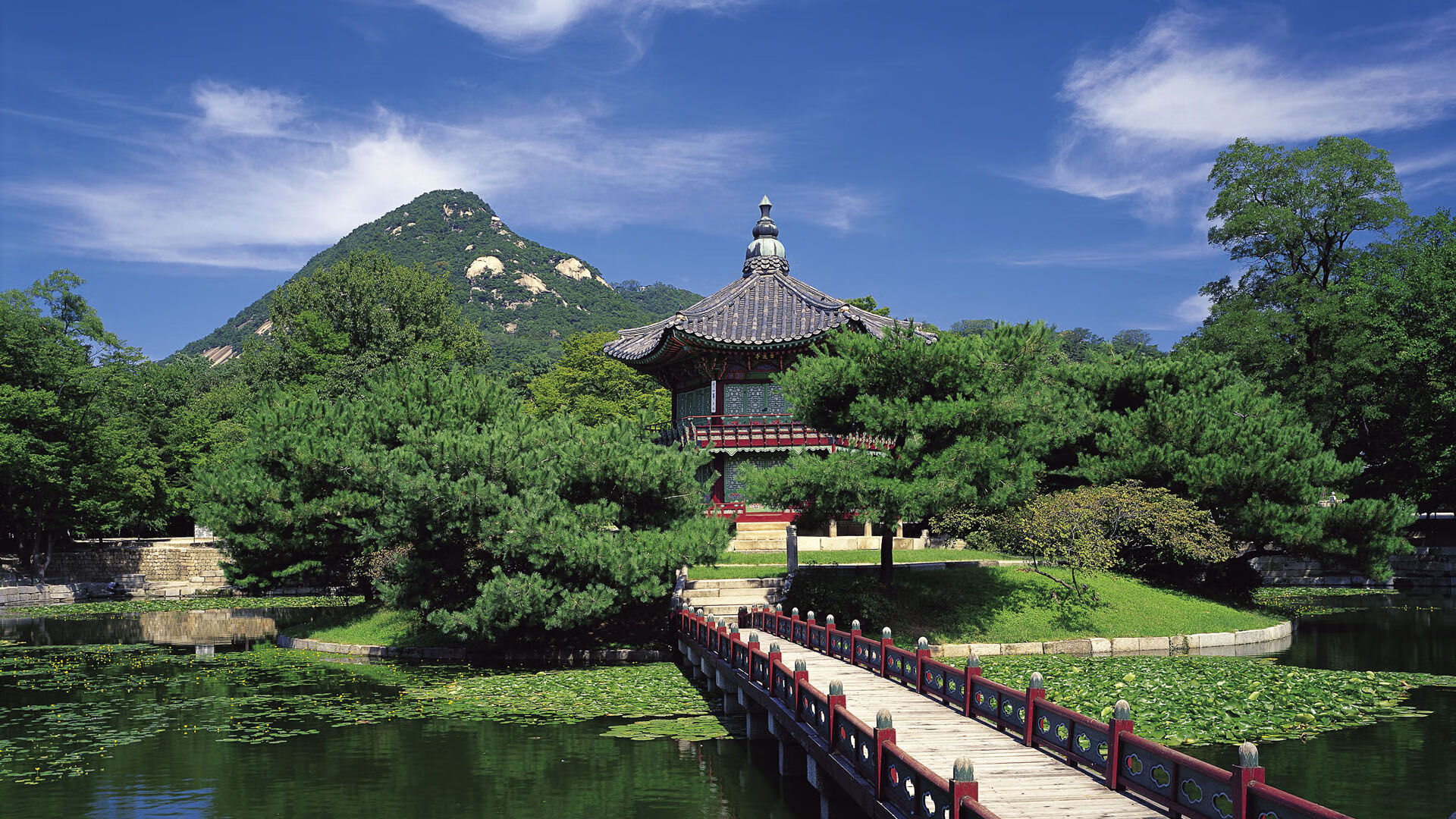 减肥代餐饼干有效果吗会胖吗知乎（代餐饼干营养对比）